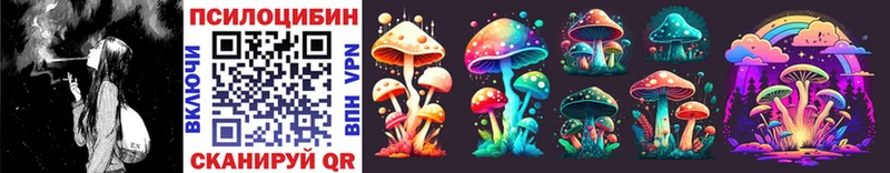 Купить где  Новомосковск  Галлюциногенные грибы MAGIC MUSHROOMS 